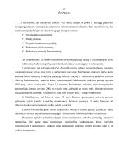 Mažmeninės prekybos paslaugų įvertinimas bei perspektyvos įstojus Lietuvai į Europos Sąjungą (ES) 20 puslapis