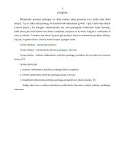 Mažmeninės prekybos paslaugų įvertinimas bei perspektyvos įstojus Lietuvai į Europos Sąjungą (ES) 3 puslapis