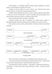 Mažmeninės prekybos paslaugų įvertinimas bei perspektyvos įstojus Lietuvai į Europos Sąjungą (ES) 9 puslapis
