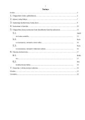 Oligopolija 2 puslapis