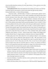 Oligopolija 16 puslapis