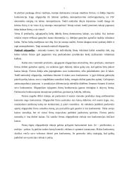 Oligopolija 7 puslapis