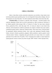 Oligopolija 8 puslapis
