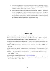 Personalo motyvacija Lietuvoje 15 puslapis