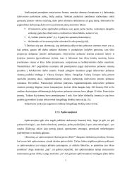 Personalo motyvacija Lietuvoje 6 puslapis