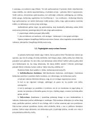 Personalo motyvacija Lietuvoje 7 puslapis