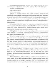 Personalo motyvacija Lietuvoje 8 puslapis