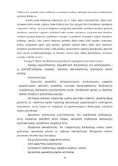 Personalo motyvacija Lietuvoje 9 puslapis