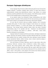 Privatizavimo politika Europos Sąjungos (ES) šalyse 9 puslapis