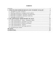 Rinkodaros planas: kelionių organizatorius UAB "Busturas" 2 puslapis