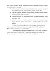 Rinkodaros planas: kelionių organizatorius UAB "Busturas" 13 puslapis