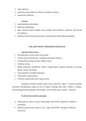 Rinkodaros planas: kelionių organizatorius UAB "Busturas" 16 puslapis