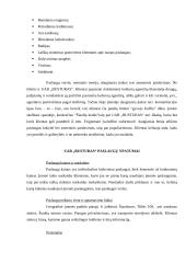 Rinkodaros planas: kelionių organizatorius UAB "Busturas" 19 puslapis