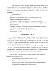 Rinkodaros planas: kelionių organizatorius UAB "Busturas" 20 puslapis