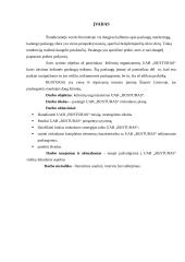 Rinkodaros planas: kelionių organizatorius UAB "Busturas" 3 puslapis