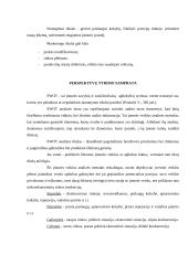 Rinkodaros planas: kelionių organizatorius UAB "Busturas" 5 puslapis