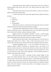 Rinkodaros planas: kelionių organizatorius UAB "Busturas" 7 puslapis