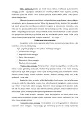 Rinkodaros planas: kelionių organizatorius UAB "Busturas" 8 puslapis