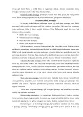 Rinkodaros planas: kelionių organizatorius UAB "Busturas" 9 puslapis