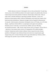 Rusijos (Kaliningrado sritis) kariuomenė: struktūra, ginkluotė, galimybės. Bataliono struktūra, taktiniai ypatumai 2 puslapis