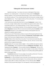 Rusijos (Kaliningrado sritis) kariuomenė: struktūra, ginkluotė, galimybės. Bataliono struktūra, taktiniai ypatumai 3 puslapis