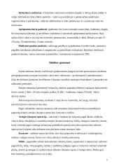 Rusijos (Kaliningrado sritis) kariuomenė: struktūra, ginkluotė, galimybės. Bataliono struktūra, taktiniai ypatumai 5 puslapis