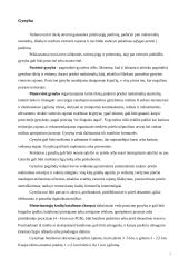 Rusijos (Kaliningrado sritis) kariuomenė: struktūra, ginkluotė, galimybės. Bataliono struktūra, taktiniai ypatumai 6 puslapis