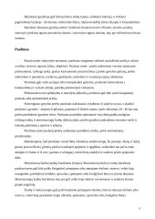 Rusijos (Kaliningrado sritis) kariuomenė: struktūra, ginkluotė, galimybės. Bataliono struktūra, taktiniai ypatumai 7 puslapis