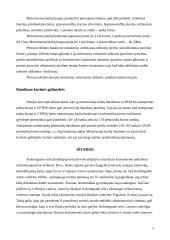 Rusijos (Kaliningrado sritis) kariuomenė: struktūra, ginkluotė, galimybės. Bataliono struktūra, taktiniai ypatumai 8 puslapis