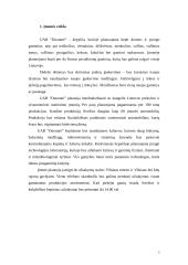Sisteminis organizacijos veiklos apibūdinimas jos efektingos vadybos tikslams: UAB "Duonutė" 5 puslapis