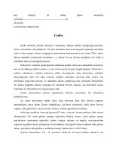 Socialinio pedagogo darbas su vaikais, patyrusiais vyresniųjų seksualinę prievartą 3 puslapis