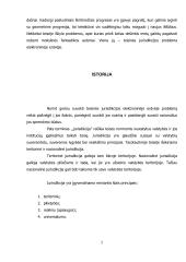 Teisinės jurisdikcijos problema elektroninėje erdvėje 2 puslapis