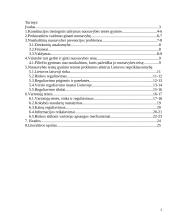 Valstybės ir nuosavybės santykiai rinkos ekonomikos sąlygomis 2 puslapis