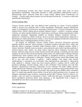 Valstybės ir nuosavybės santykiai rinkos ekonomikos sąlygomis 11 puslapis