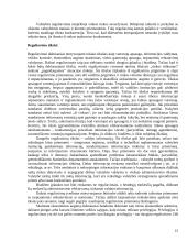 Valstybės ir nuosavybės santykiai rinkos ekonomikos sąlygomis 15 puslapis