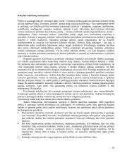 Valstybės ir nuosavybės santykiai rinkos ekonomikos sąlygomis 19 puslapis