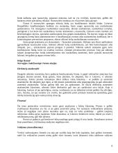 Valstybės ir nuosavybės santykiai rinkos ekonomikos sąlygomis 8 puslapis