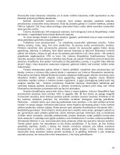 Valstybės ir nuosavybės santykiai rinkos ekonomikos sąlygomis 10 puslapis