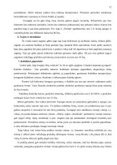 Verslo planas: Augalų priežiūros tarnyba 12 puslapis