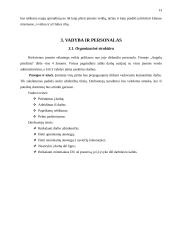 Verslo planas: Augalų priežiūros tarnyba 13 puslapis