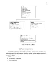 Verslo planas: Augalų priežiūros tarnyba 14 puslapis