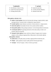 Verslo planas: Augalų priežiūros tarnyba 19 puslapis