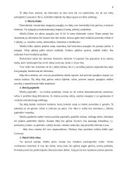 Verslo planas: Augalų priežiūros tarnyba 8 puslapis