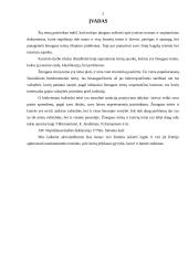 Žmogaus teisių samprata ir esmė 2 puslapis