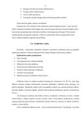 Žmogaus teisių samprata ir esmė 17 puslapis