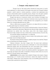 Žmogaus teisių samprata ir esmė 3 puslapis