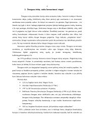 Žmogaus teisių samprata ir esmė 4 puslapis