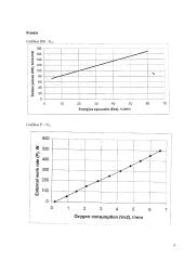 Fizinio darbo intensyvumo tyrimas 4 puslapis