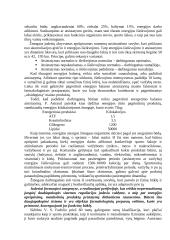 Faktoriai, lemiantys fizinį darbingumą 2 puslapis