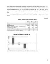 Vilkaviškio rajono savivaldybės pajamų, išlaidų ir deficito analizė 2008-2010 metais 13 puslapis